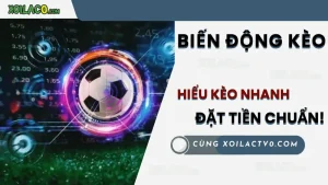 Biến động kèo bóng đá – Nhận diện kèo thơm và kèo dụ nhanh chóng
